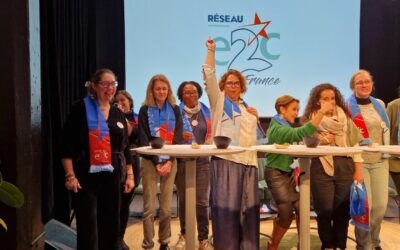 Workshop pédagogique 2025 du réseau E2C